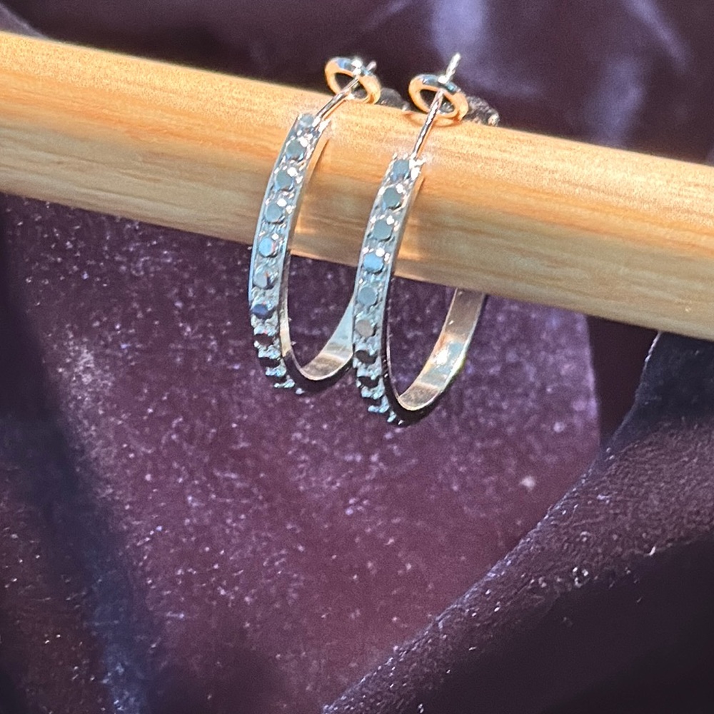 Pretty Bird Silver Hoops